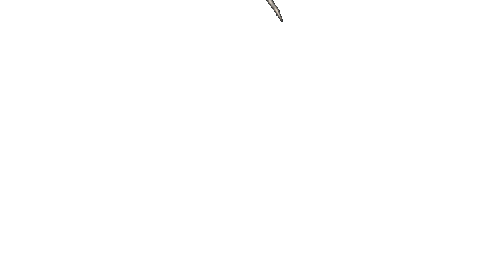 Money Background
